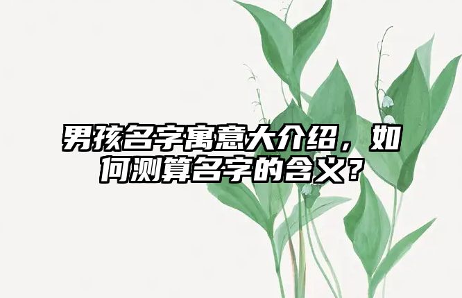 男孩名字寓意大介绍，如何测算名字的含义？