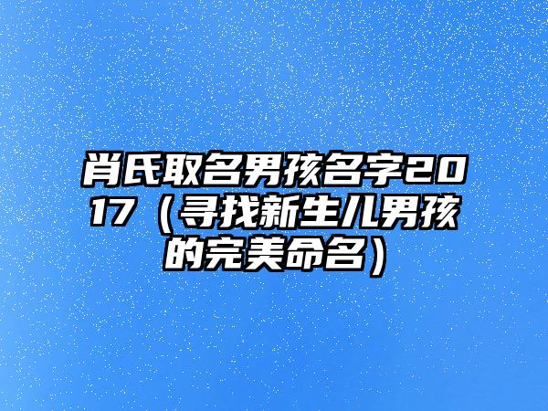 肖氏取名男孩名字2017（寻找新生儿男孩的完美命名）