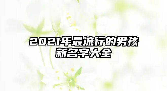 2021年最流行的男孩新名字大全