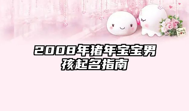 2008年猪年宝宝男孩起名指南