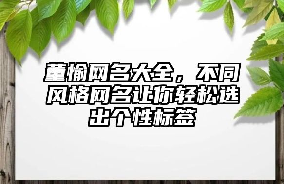 董愉网名大全，不同风格网名让你轻松选出个性标签