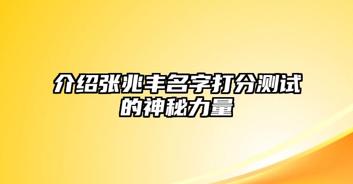 介绍张兆丰名字打分测试的神秘力量