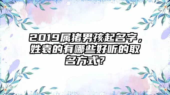 2019属猪男孩起名字，姓袁的有哪些好听的取名方式？