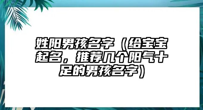 姓阳男孩名字（给宝宝起名，推荐几个阳气十足的男孩名字）