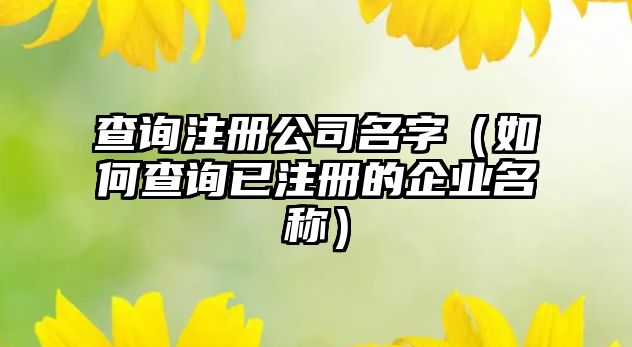 查询注册公司名字（如何查询已注册的企业名称）