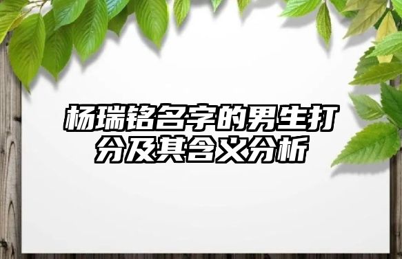 杨瑞铭名字的男生打分及其含义分析