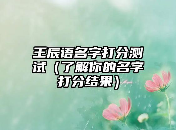 王辰语名字打分测试（了解你的名字打分结果）