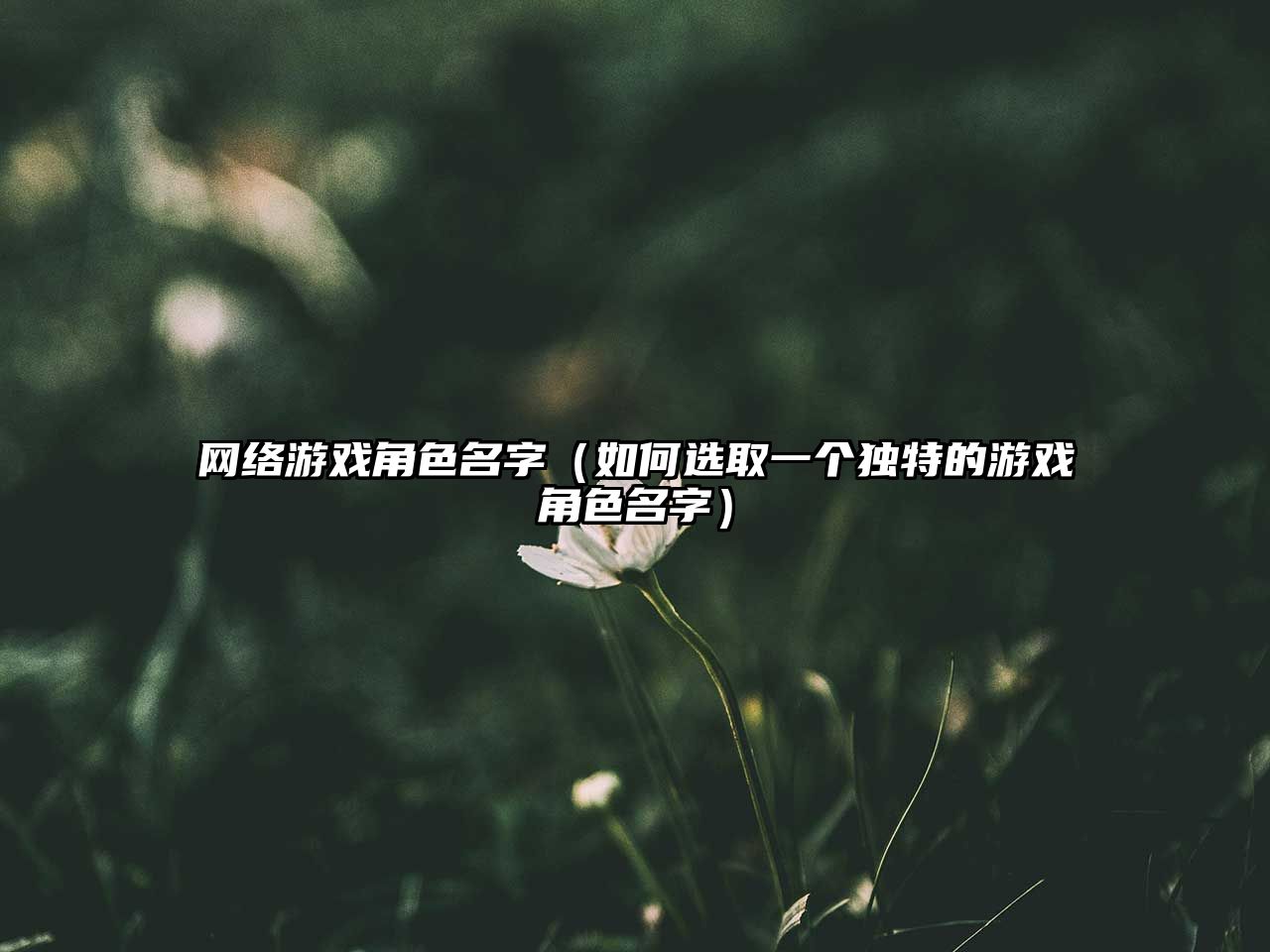 网络游戏角色名字（如何选取一个独特的游戏角色名字）