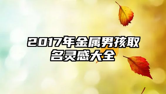 2017年金属男孩取名灵感大全