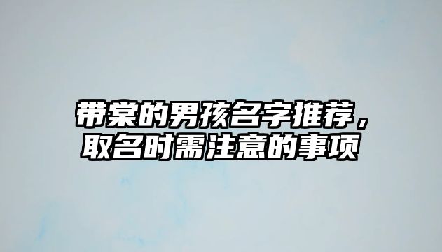 带棠的男孩名字推荐，取名时需注意的事项