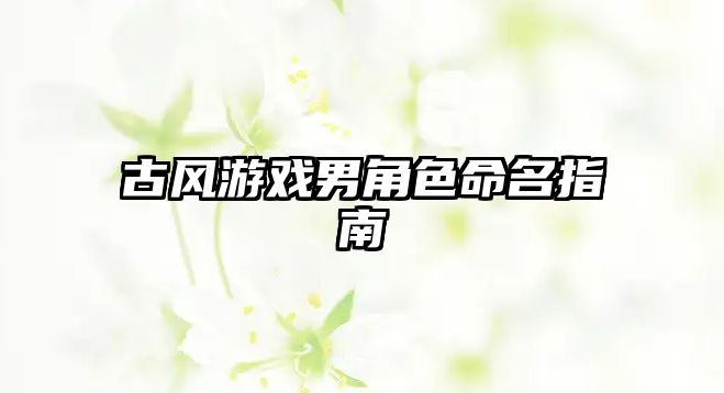 古风游戏男角色命名指南