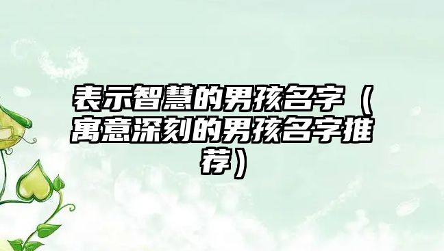 表示智慧的男孩名字（寓意深刻的男孩名字推荐）