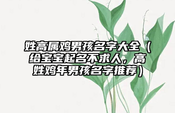 姓高属鸡男孩名字大全（给宝宝起名不求人，高姓鸡年男孩名字推荐）