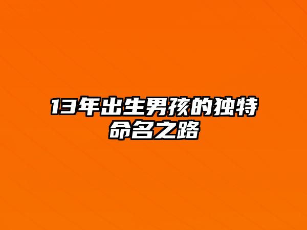 13年出生男孩的独特命名之路