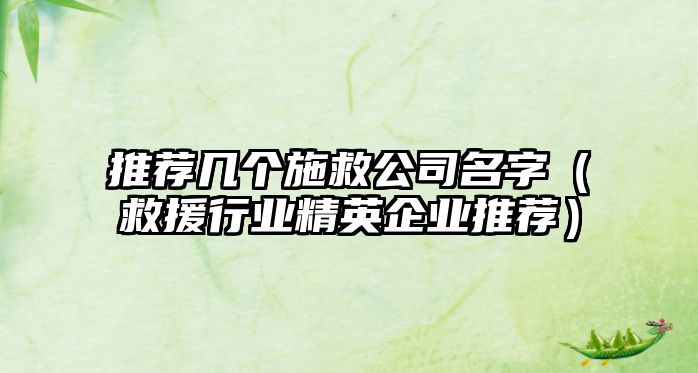 推荐几个施救公司名字（救援行业精英企业推荐）