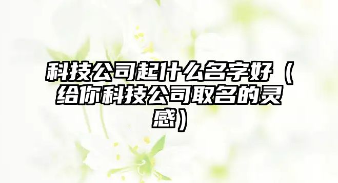 科技公司起什么名字好（给你科技公司取名的灵感）