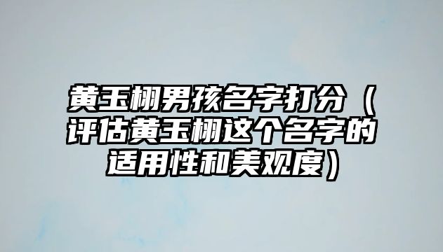 黄玉栩男孩名字打分（评估黄玉栩这个名字的适用性和美观度）