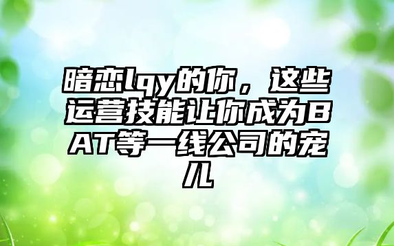 暗恋lqy的你，这些运营技能让你成为BAT等一线公司的宠儿