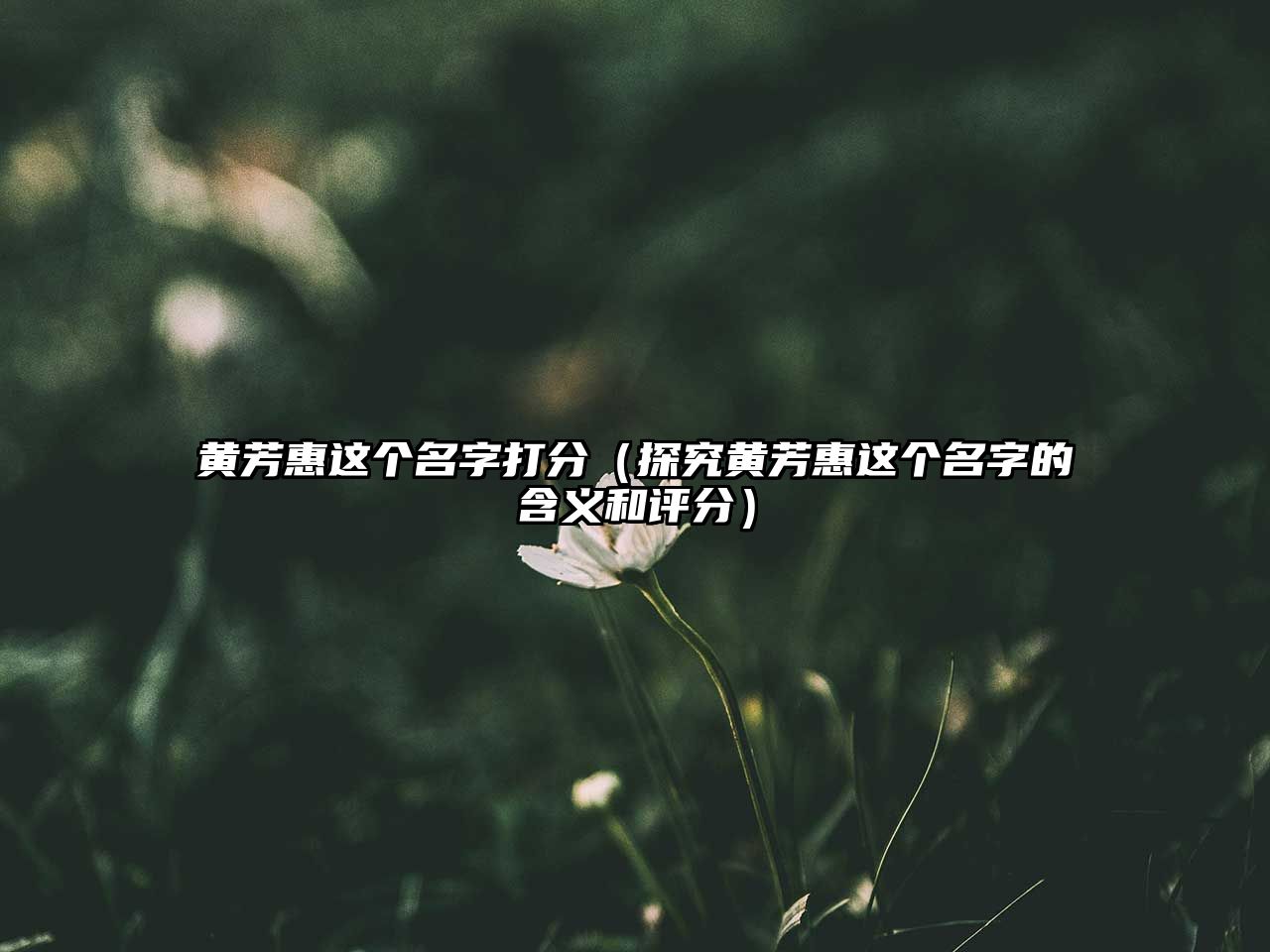 黄芳惠这个名字打分（探究黄芳惠这个名字的含义和评分）