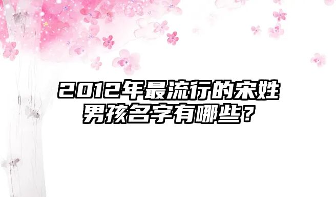 2012年最流行的宋姓男孩名字有哪些？