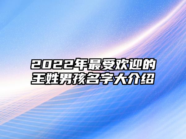 2022年最受欢迎的王姓男孩名字大介绍