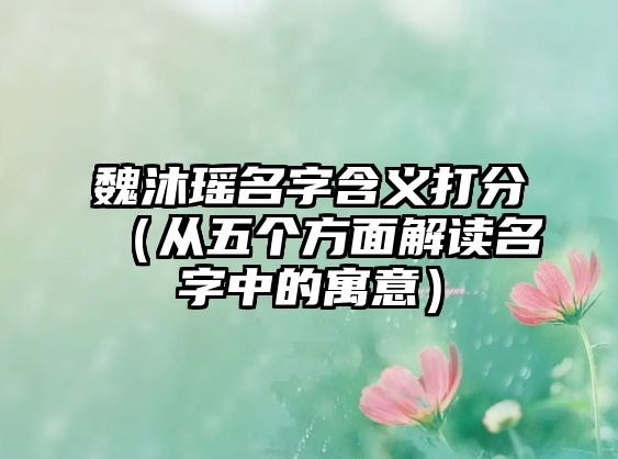 魏沐瑶名字含义打分（从五个方面解读名字中的寓意）