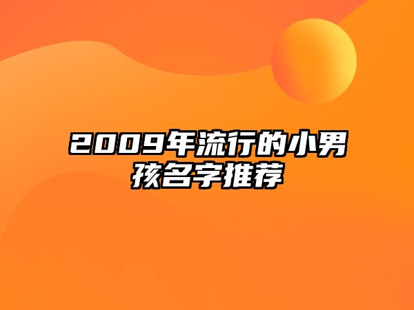 2009年流行的小男孩名字推荐