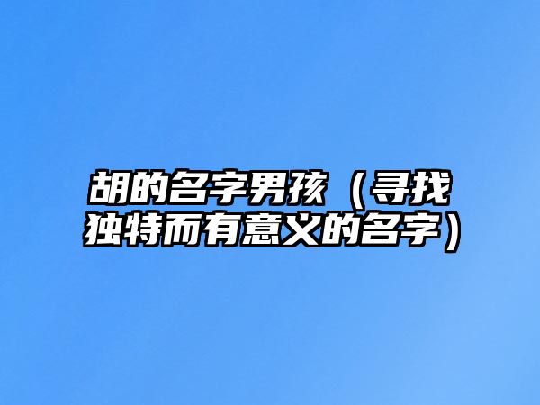 胡的名字男孩（寻找独特而有意义的名字）