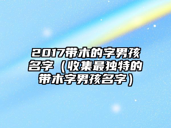 2017带木的字男孩名字（收集最独特的带木字男孩名字）