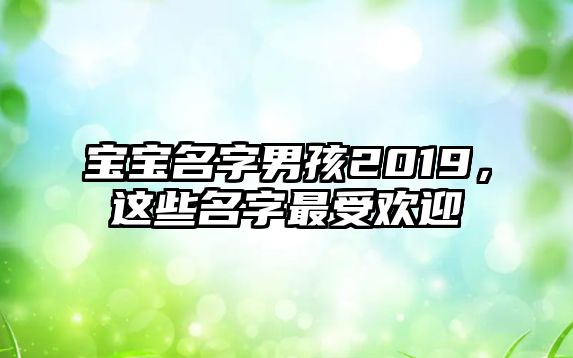 宝宝名字男孩2019，这些名字最受欢迎