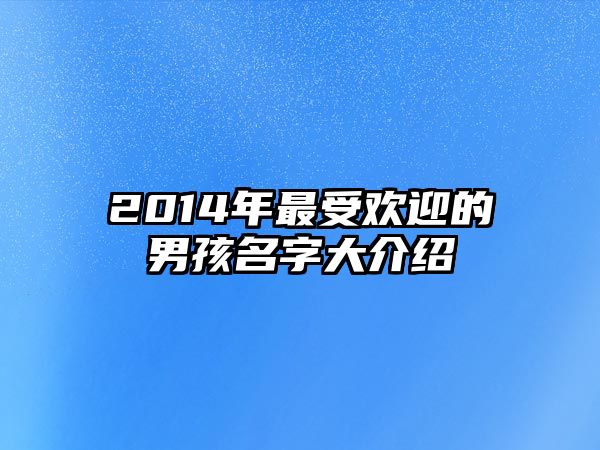 2014年最受欢迎的男孩名字大介绍