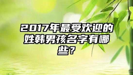 2017年最受欢迎的姓韩男孩名字有哪些？