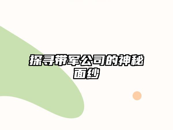 探寻带军公司的神秘面纱