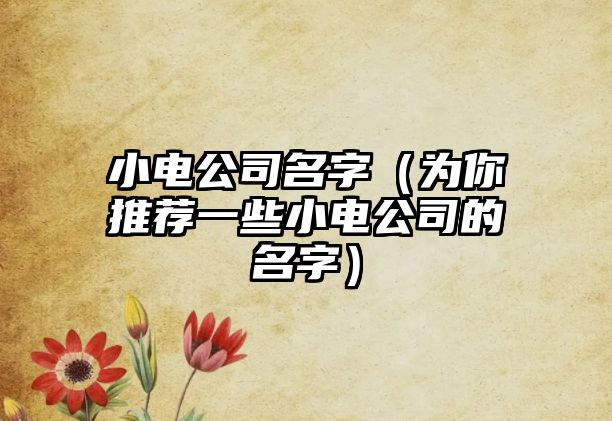 小电公司名字（为你推荐一些小电公司的名字）