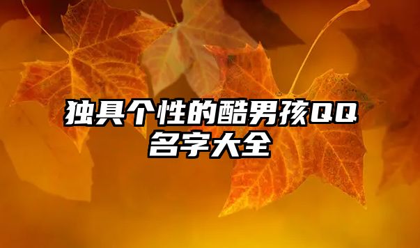 独具个性的酷男孩QQ名字大全