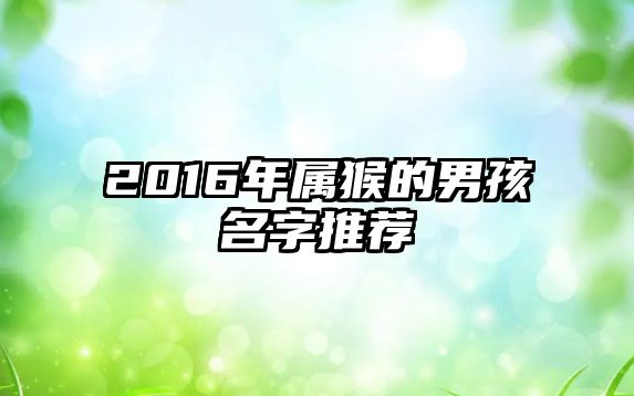 2016年属猴的男孩名字推荐