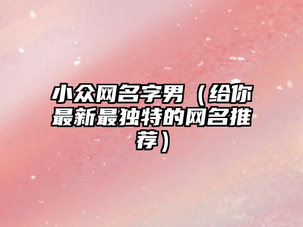 小众网名字男（给你最新最独特的网名推荐）