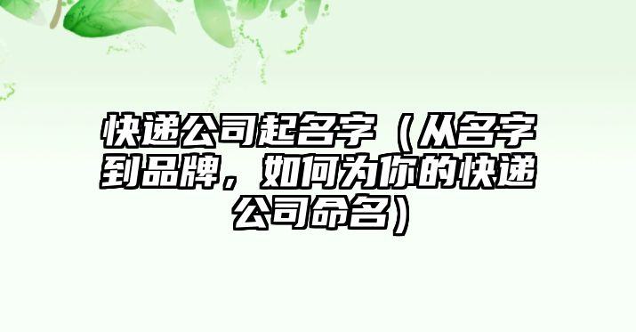 快递公司起名字（从名字到品牌，如何为你的快递公司命名）