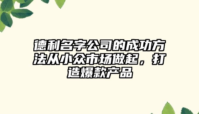 德利名字公司的成功方法从小众市场做起，打造爆款产品