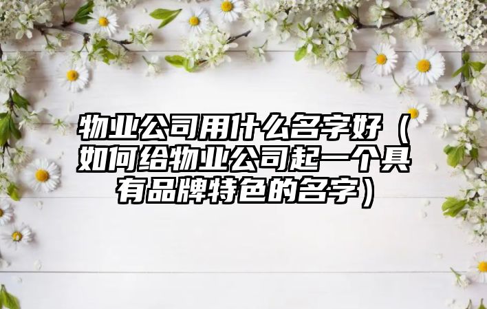 物业公司用什么名字好（如何给物业公司起一个具有品牌特色的名字）