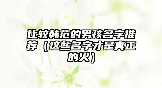 比较韩范的男孩名字推荐（这些名字才是真正的火）