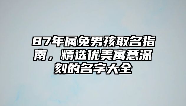 87年属兔男孩取名指南，精选优美寓意深刻的名字大全