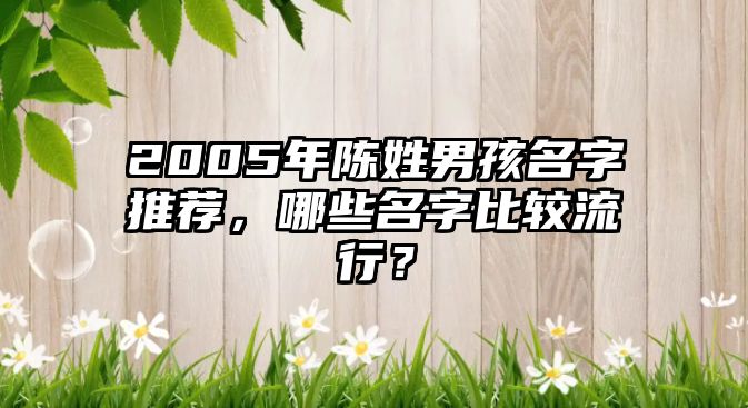 2005年陈姓男孩名字推荐，哪些名字比较流行？