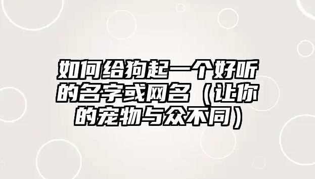 如何给狗起一个好听的名字或网名（让你的宠物与众不同）