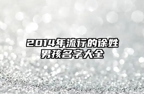 2014年流行的徐姓男孩名字大全