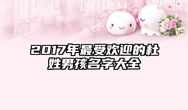 2017年最受欢迎的杜姓男孩名字大全