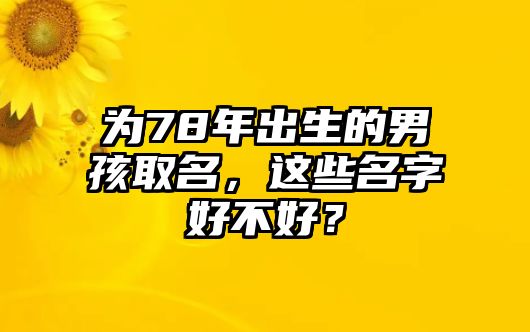 为78年出生的男孩取名，这些名字好不好？