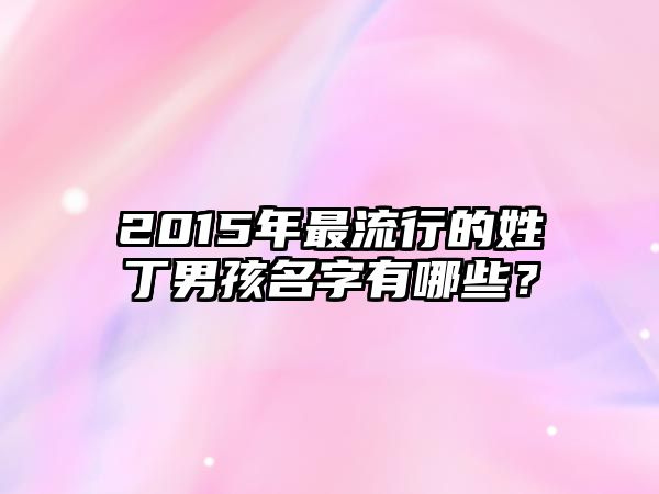 2015年最流行的姓丁男孩名字有哪些？