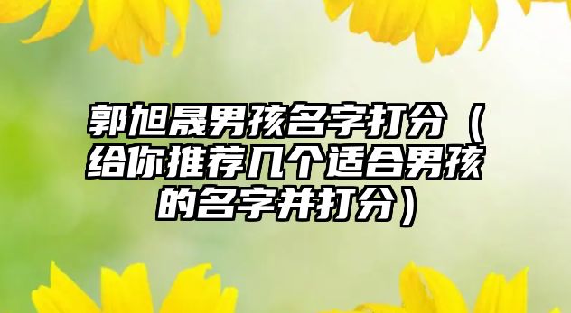 郭旭晟男孩名字打分（给你推荐几个适合男孩的名字并打分）