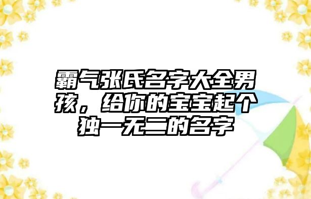 霸气张氏名字大全男孩，给你的宝宝起个独一无二的名字